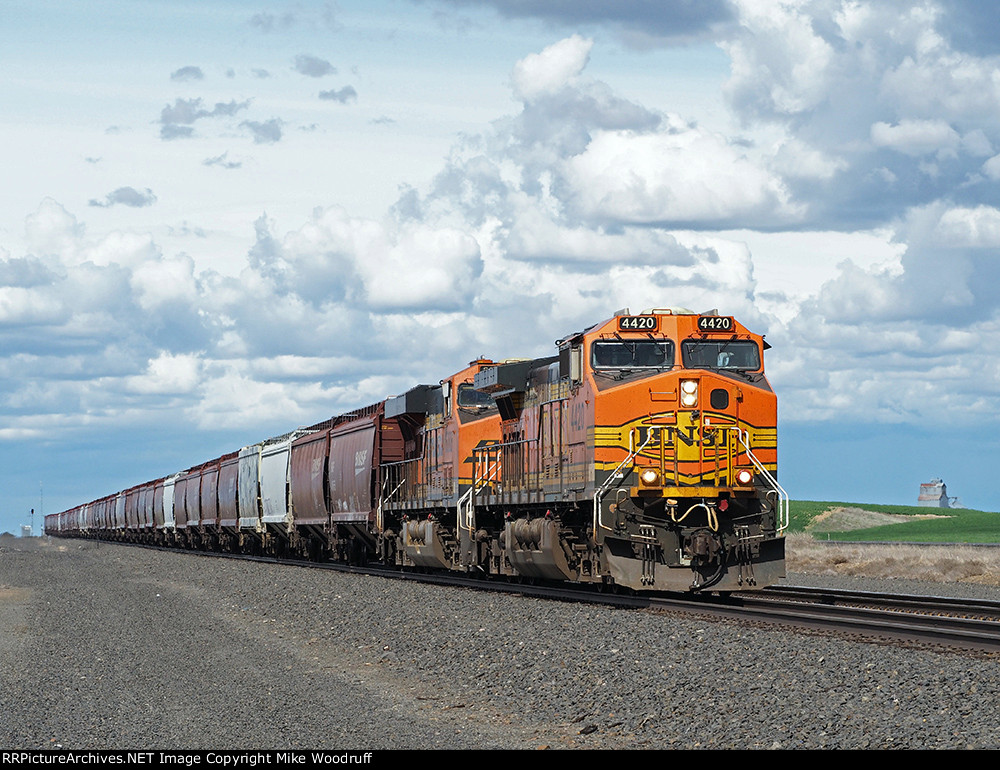 BNSF 4420